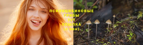 крисы Алексин
