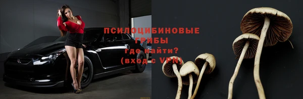 крисы Алексин