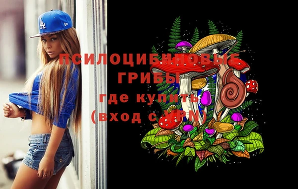 синтетический гашиш Алексеевка
