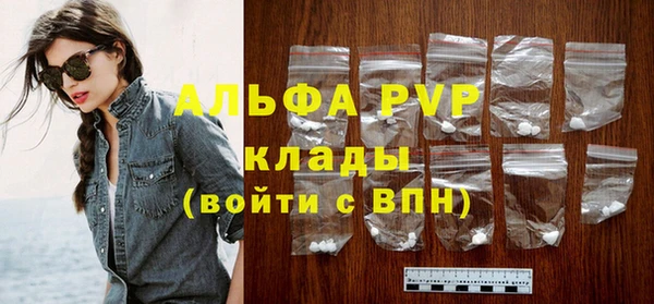 крисы Алексин