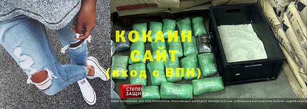крисы Алексин