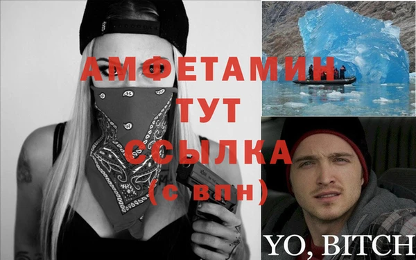 крисы Алексин