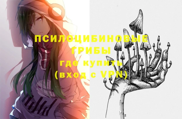 крисы Алексин