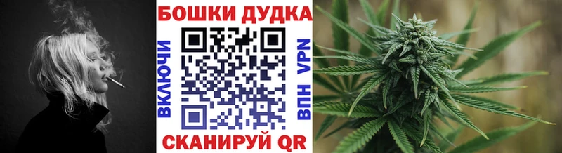 Купить закладки  Власиха  Шишки марихуана планчик 